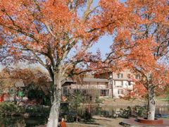 -黄陂区野村谷景区