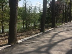 -同里国家湿地公园