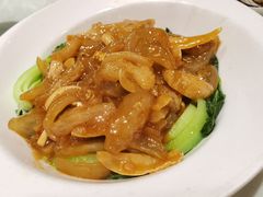红烧牛蹄筋-福来居烤鸭店(天坛二店)