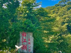 -广州白江湖森林公园