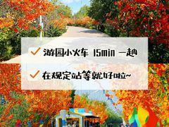 -沉浸北京·团建旅行·密室剧本杀·年会会议轰趴拓展