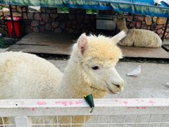 -金庭庄园酒店-停车场