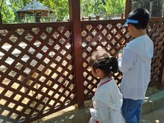 -南戴河国际娱乐中心