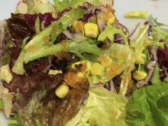 -森味薪火烧•烧鸟居酒屋•日本料理(望京店)