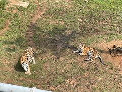 -西霞口神雕山野生动物世界