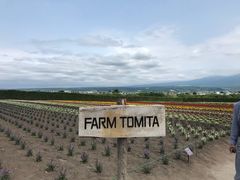 -富田农场