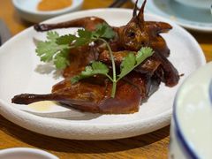 乳鸽-琼菜人家·海南菜·文昌鸡(文昌大道店)