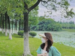 -艾溪湖湿地公园