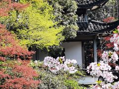 -杭州植物园