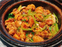 沙姜嗜鸡-煲煲好(朝阳门店)