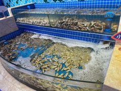 水产区-乔哥铭洋海鲜自助(皇城恒隆广场店)