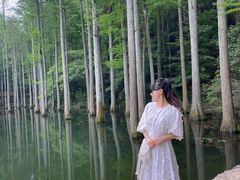 -波尔登森林公园