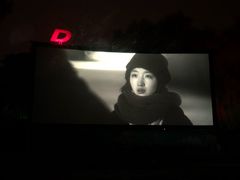 -枫花园汽车电影院(朝阳公园店)