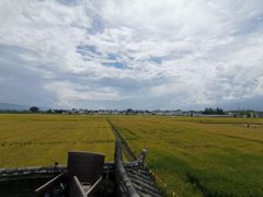 -喜林苑·稻田餐厅(品相府店)