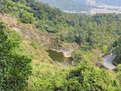 -火炉山森林公园