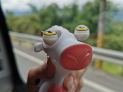 -瑞穗牧场