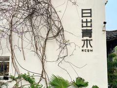 -日出青木