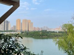 -悦哉·派对·草坪婚礼·围炉煮茶(三圣乡店)