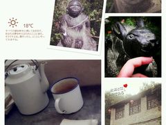 android_upload_pic-沕沕水生态风景区