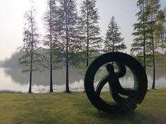 -贡湖湾湿地公园