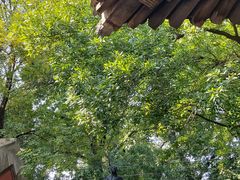 -嵩祝寺及智珠寺