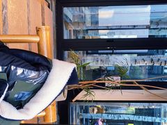 -Metal hands·铁手咖啡