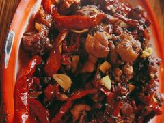 -柴窝堡22号辣子鸡·传承新疆菜