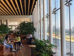 -Seesaw Coffee(朝阳大悦城店)