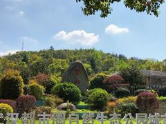 -潜山国家森林公园