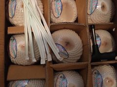 -韩家墅海吉星农产品批发市场