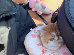 -美联众合24小时·皮肤科·外科·全科诊疗中心(华苑分院)