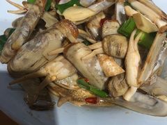 爆炒蛏子-大萝卜烧烤羊蝎子烤全羊(新城河路店)