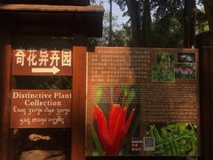 -中国科学院西双版纳热带植物园