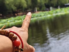 -沈阳市东陵公园