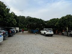-满記土窑烧鷄波浪山莊