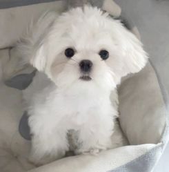 -Oasis Beauty水磨坊科技美肤中心