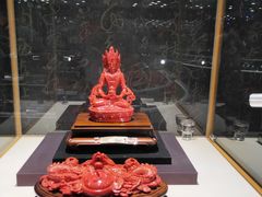 -东海珊瑚博物馆