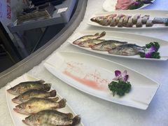 -乡下姥渔馆(齐落山路店)