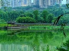 -龙头寺公园