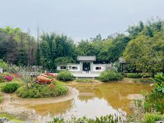 -广州市白云山风景名胜区