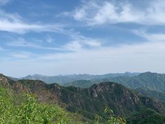 -大岭沟猕猴桃谷风景区