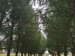 -嘉北郊野公园