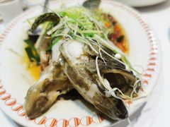 -凤城礼记鱼翅海鲜酒家(新马路总店)
