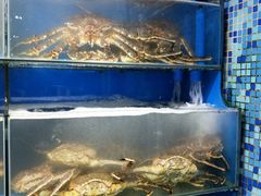 -蚝专家(北滘店)