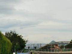 -福田红树林生态公园