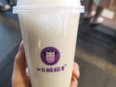 -一只酸奶牛(八一路店)