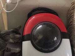 -甜心闲生传统手工冰粉(奎星楼店)