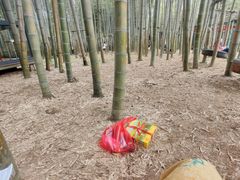 -陶祖圣境风景区