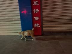 -长平肥姐白粥·海鲜打冷