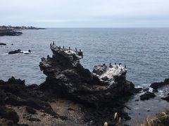 -龙头岩(Dragon Head Rock)